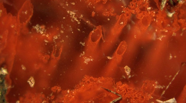 Dünyanın bilinmeyen yüzünü bu keşif ortaya çıkardı