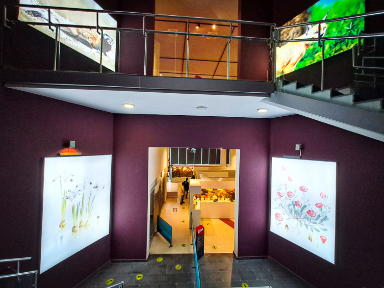 Yaşama dair her şey bu müzede: Hayatın kaynağına yolculuk