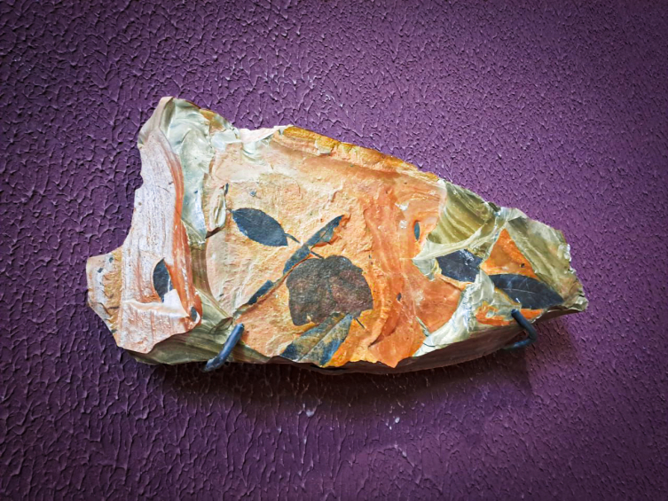 Yaşama dair her şey bu müzede: Hayatın kaynağına yolculuk