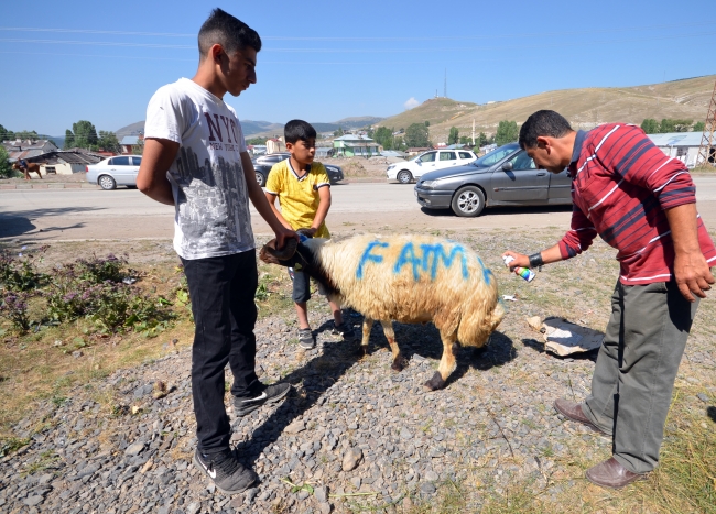 Doğu Anadolu'da kurban pazarlarında hareketlilik