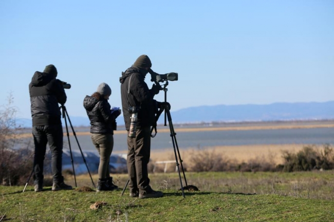 Gala Gölü göçmen misafirleriyle bir başka güzel