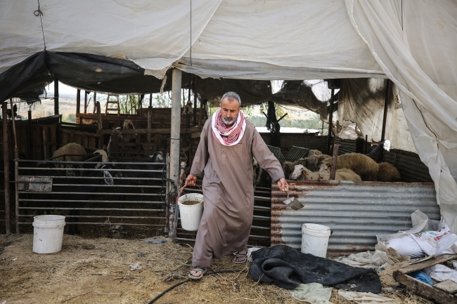 Gazze'de hayvan gübresinden biyogaz üretimi yapılıyor