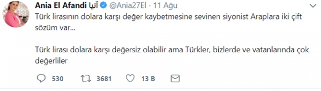 Arap dünyasından Türkiye'ye destek