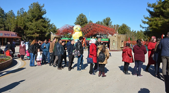 Cumhurbaşkanı Erdoğan'ın aslanlarına ziyaretçi akını