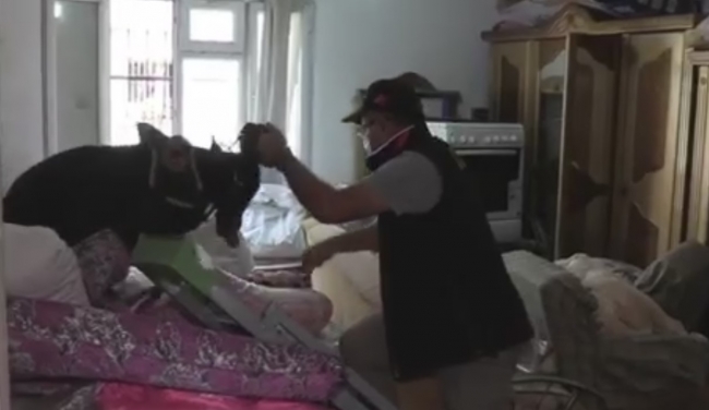 Gaziantep'te uyuşturucu operasyonu: 27 gözaltı