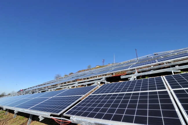 Tonya enerjisini güneşten alacak