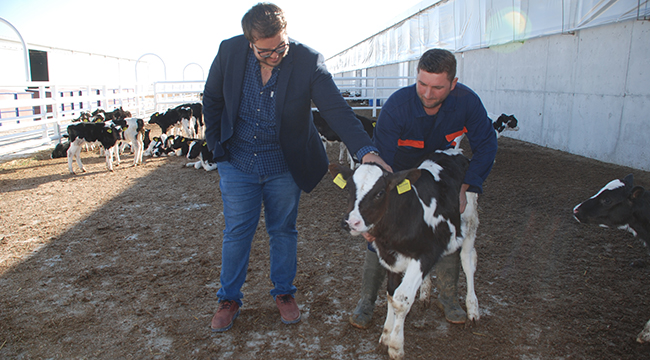 Girişimciler için hibeden krediye, eğitimden teknik yardıma pek çok destek var