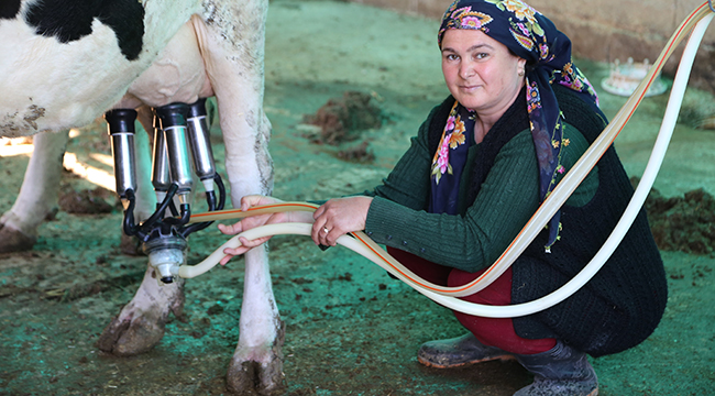 Girişimciler için hibeden krediye, eğitimden teknik yardıma pek çok destek var