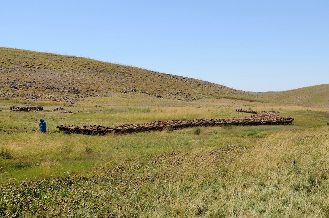 Şerafettin yaylaları göçerleri ağırlıyor
