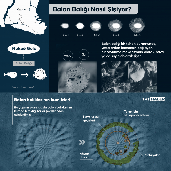 Grafik: Bedra Nur Aygün