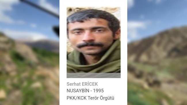 Gri listedeki terörist etkisiz hale getirildi