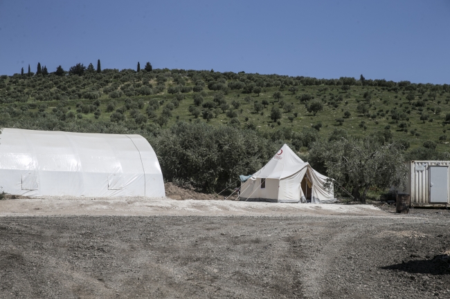 Hatay'da Zeytin Dalı Gümrük Müdürlüğü kuruldu