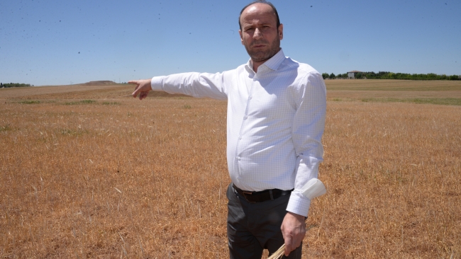 Güneydoğu'da kuraklık alarmı: Rekolte kaybı yüzde 80'e çıktı