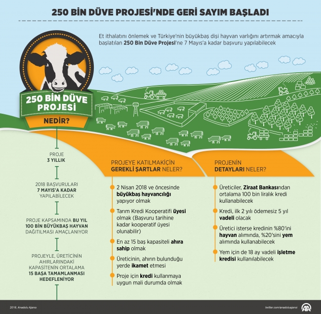 "250 Bin Düve Projesi"ne başvurular için geri sayım başladı