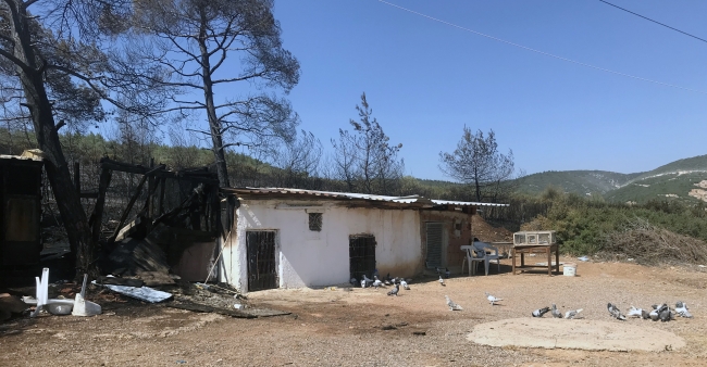 Güvercinleri yanmaktan mahalle sakinleri kurtardı