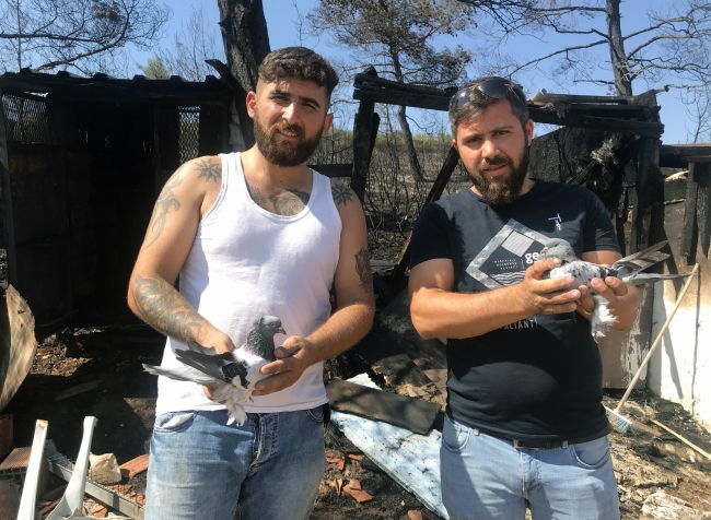 Güvercinleri yanmaktan mahalle sakinleri kurtardı