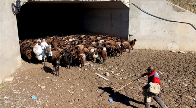 Göçerlerin zorlu yolculuğu