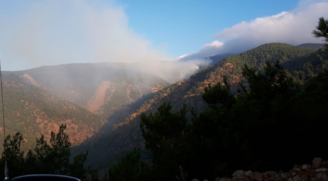 Hatay'da orman yangını