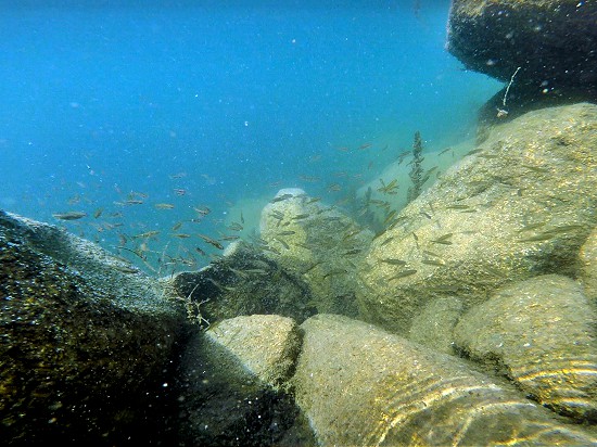 Türkiye'nin en yüksek gölü dalış meraklılarını bekliyor