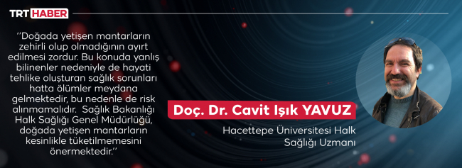 Mantar sezonuna dikkat