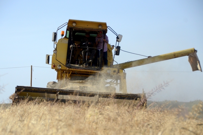 Fırat Kalkanı'yla terörden temizlenen bölgelerde şimdi 'hasat' zamanı