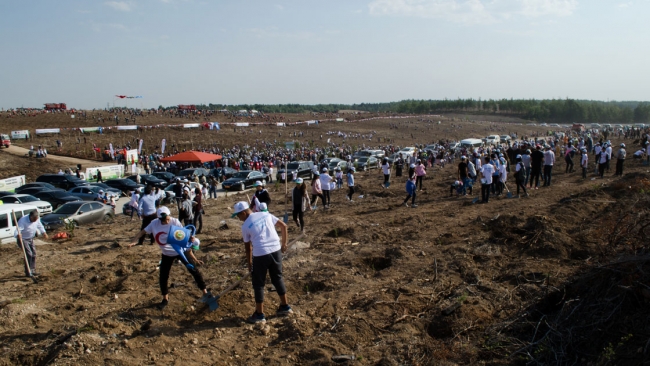 81 ilde 11 milyon fidan toprakla buluştu