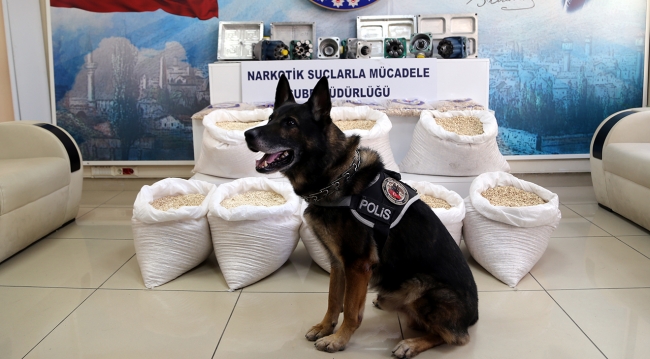 Tır dorsesinden 1 milyon 335 bin adet uyuşturucu hap çıktı