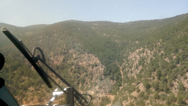 Hatay'da çıkan orman yangını 37 saatte söndürüldü