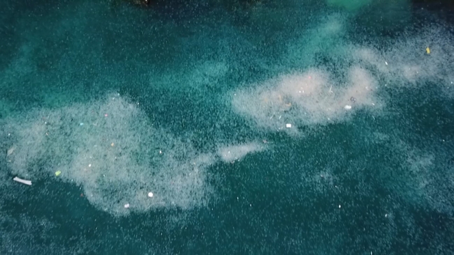 İstanbul Boğazı'nda denizanası istilası: Kıyı şeridi beyaza büründü