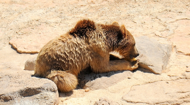 Buzlu kokteyl ile serinliyorlar