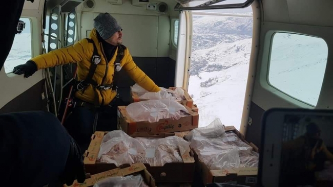Karda mahsur kalan hayvanlara havadan yiyecek atıldı