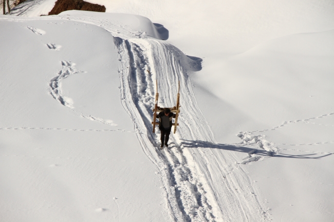 Hayvanlarını beslemek için karlı yolları kızakla aşıyorlar