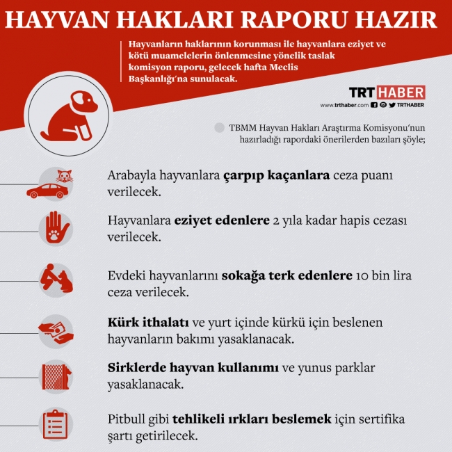 Evcil hayvanını sokağa terk edene 10 bin lira ceza