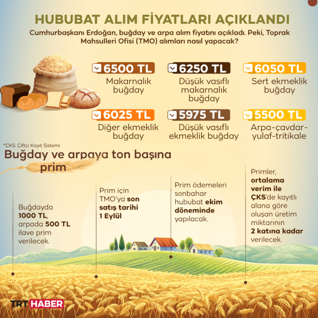 Buğday ve arpa alım fiyatı ne kadar 2022? İşte TMO alım fiyatları...