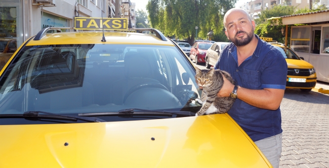 Tedavi edildiği taksi durağının maskotu oldu