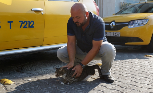 Tedavi edildiği taksi durağının maskotu oldu
