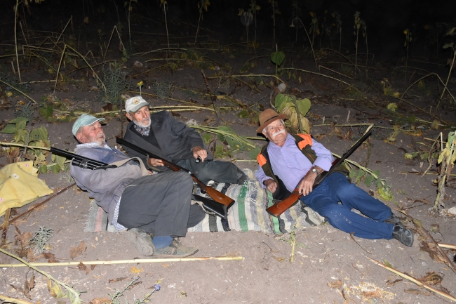 Köyün ihtiyarları domuz nöbetinde