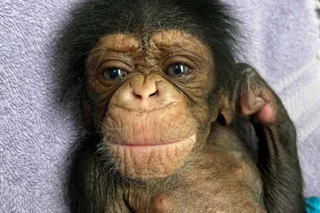 Fotoğraf: Facebook / @Sedgwick County Zoo