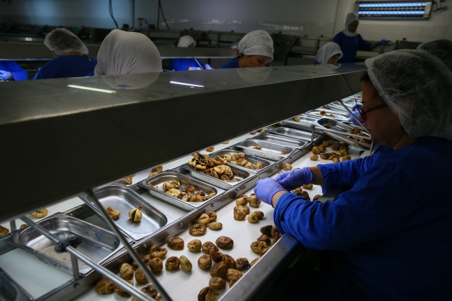 Türkiye'nin üretiminde ve ihracatında lider olduğu kuru incire talep son yıllarda arttı. Fotoğraf: AA