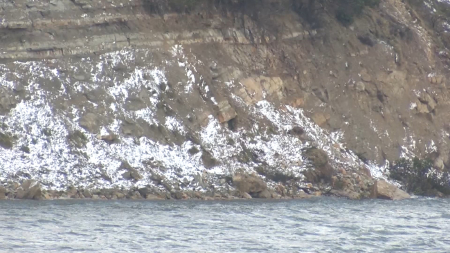 İstanbul'da barajların doluluk oranı kaç oldu? İstanbul’daki barajlarda taşkın uyarısı...