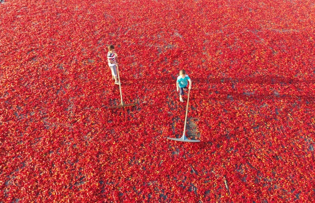 İsotun uzun ve zahmetli yolculuğu