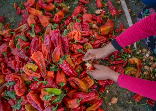 İsotun uzun ve zahmetli yolculuğu