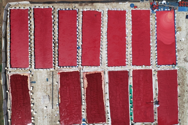 Tarladan sofraya isotun "acı" yolculuğu