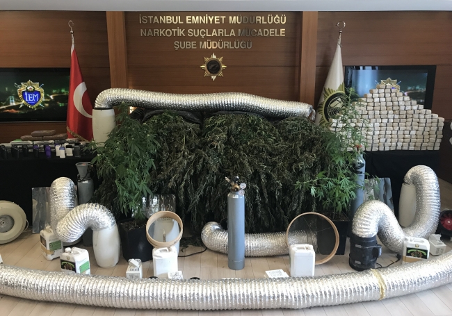 Uyuşturucu tarlasına çevrilen villalara baskın