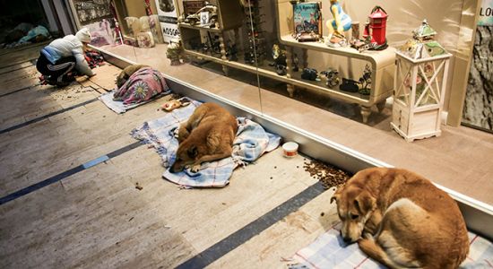 İstanbul'da kar kalınlığı 122 santimetreyi aştı