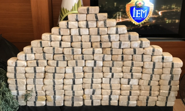 Uyuşturucu tarlasına çevrilen villalara baskın