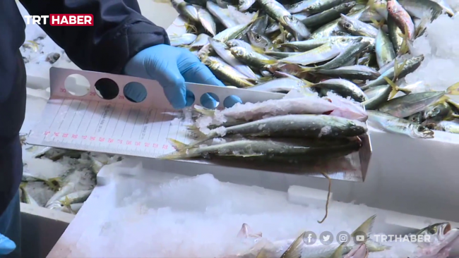 Fotoğraf: TRT Haber