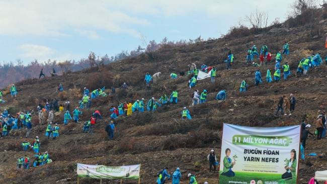 81 ilde 11 milyon fidan toprakla buluştu