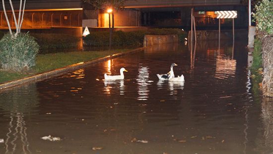 Ayvalık'ta eğitime bir gün ara