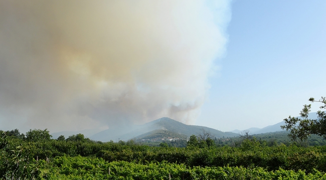 İzmir'deki orman yangını Manisa'ya sıçradı